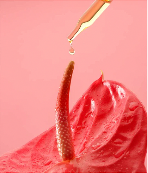 Reawakening Midlife Sexual Wellness