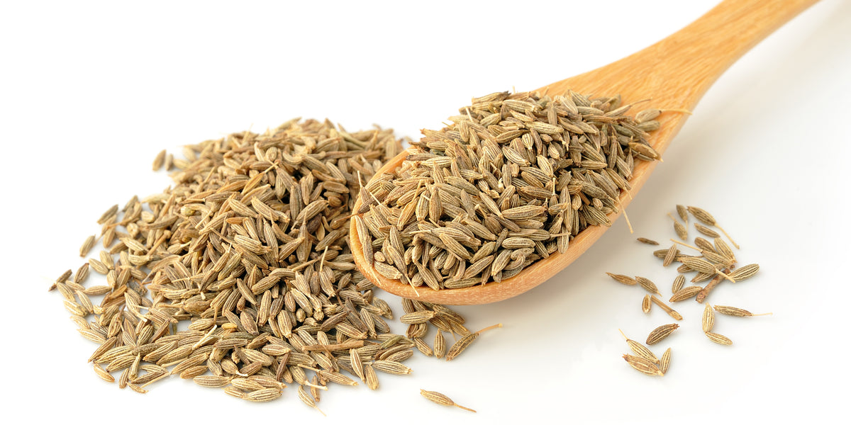 Fennel for Hormonal Wellness and Perimenopause Support from Wile. ID: a wooden spoon with small brown fennel seeds on a white background