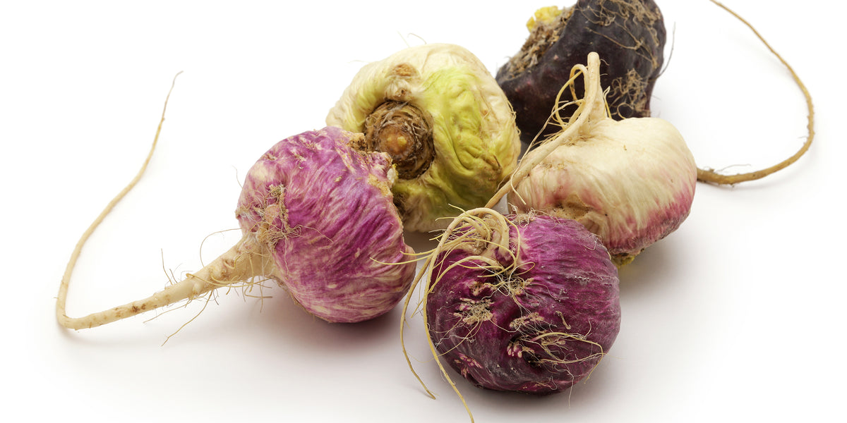 How Maca Root Increases Libido in Women from Wile. ID: five pink, white, green and brown maca roots on a white background