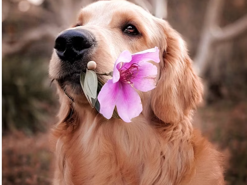 how to do crisis support for women over 40