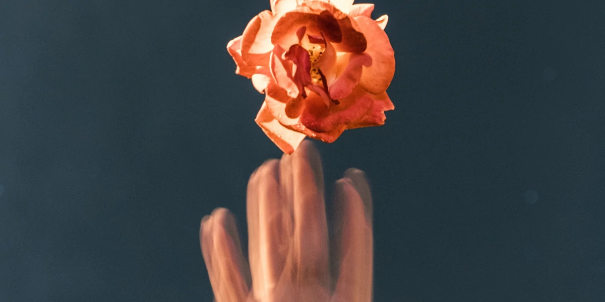 Learn about Phytoestrogens with Wile