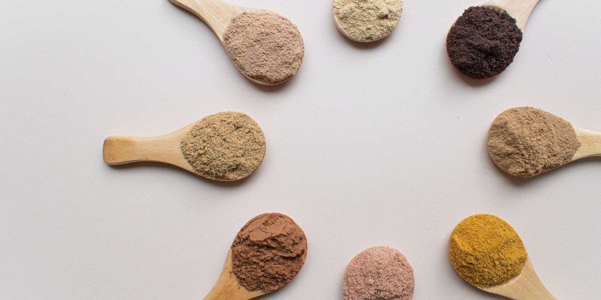 All About Adaptogens from Wile, colored plant powders arranged in a circle on wooden spoons