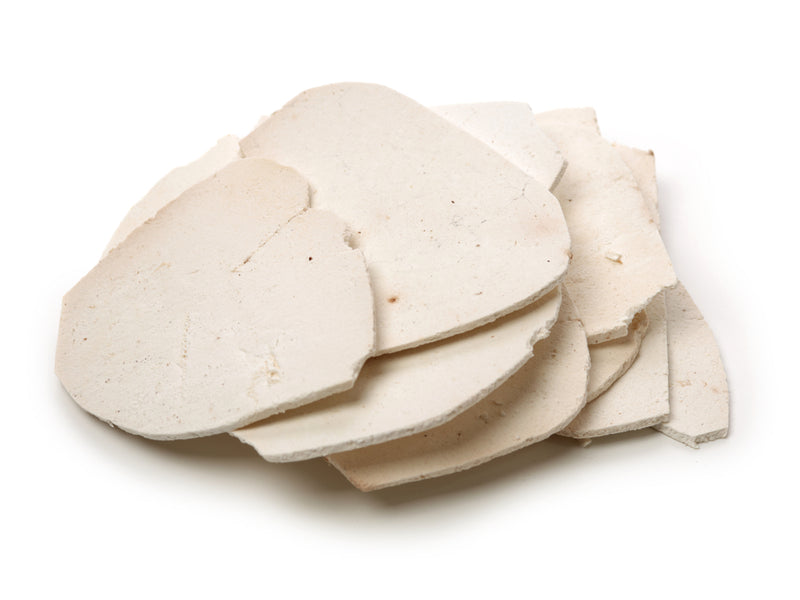 Poria for Stress, Mood & Overall Health from Wile. ID: white slices of a fungus on a white background