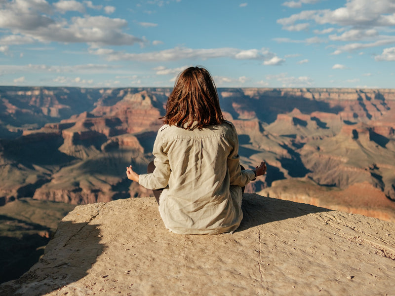 Understanding Your Body’s Stress Response from Wile, a woman meditates next to the grand canyon